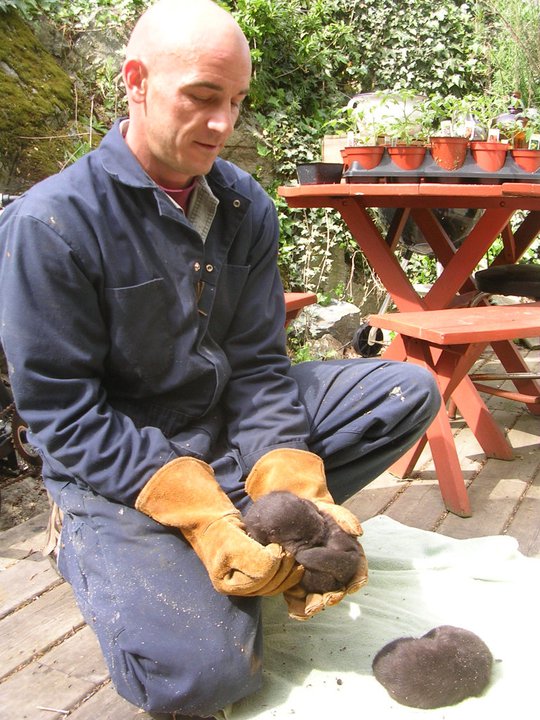 Jeff holding otter kits safely removed from a residence